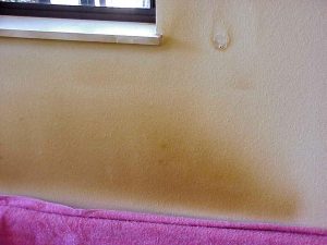 smoke-damage