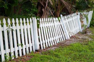 Fence Painting