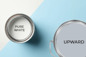 sherwin williams color 2024 upward pure white interior paint